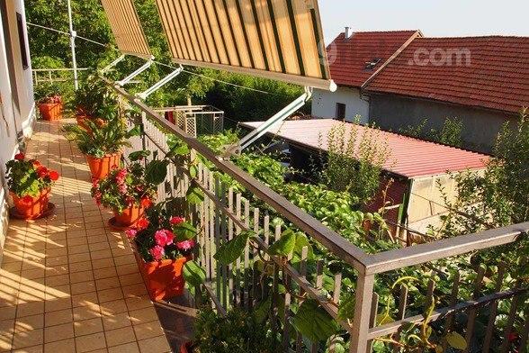 Agriturismo Zi Carmine Аджерола Екстер'єр фото